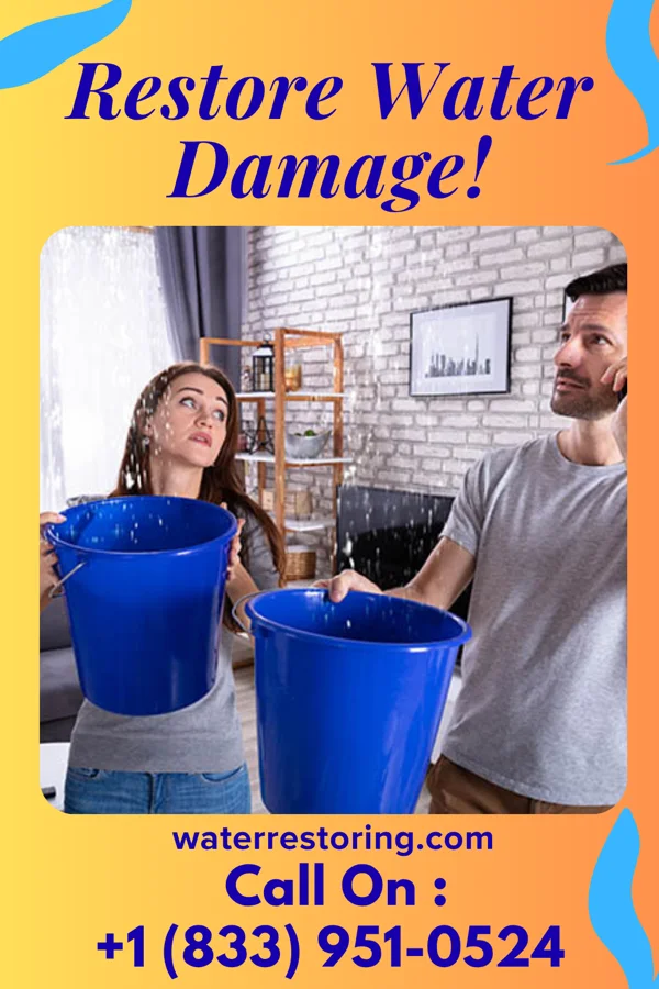 water restoration Elite Damage Restoration Group Pleasant Plain