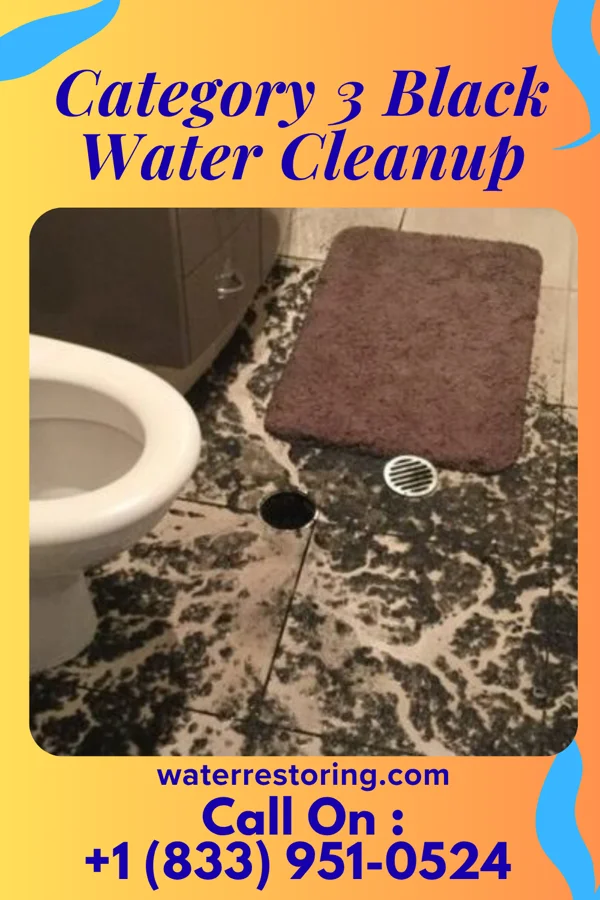 Category 3 Black Water Cleanup in Pleasant Plain, OH