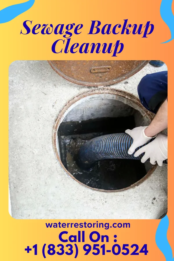 Sewage Backup Cleanup in Pleasant Plain, OH