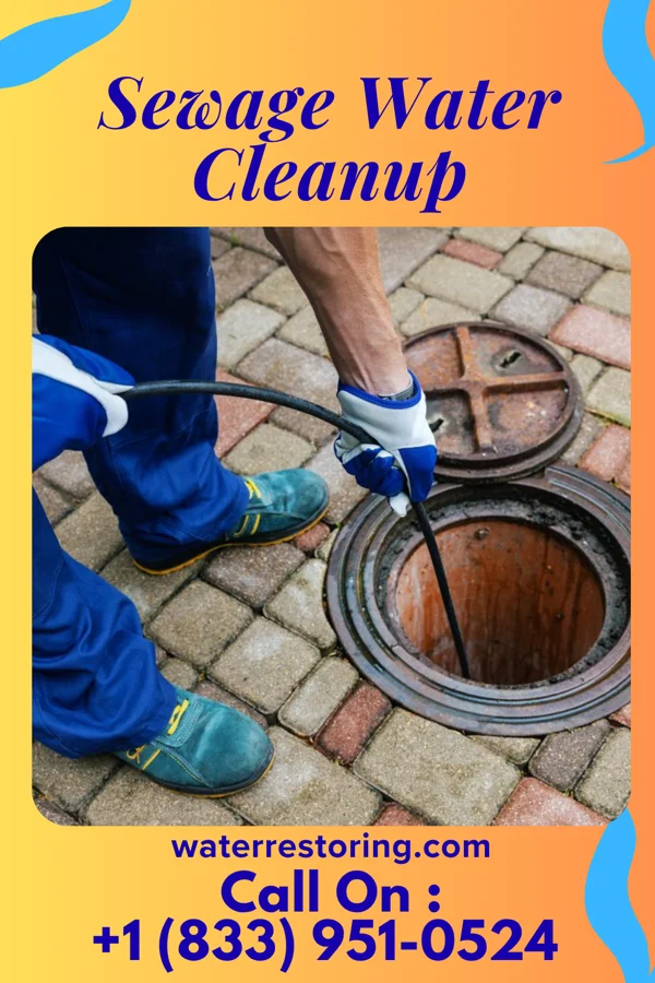 Sewage Water Cleanup in Pleasant Plain, OH